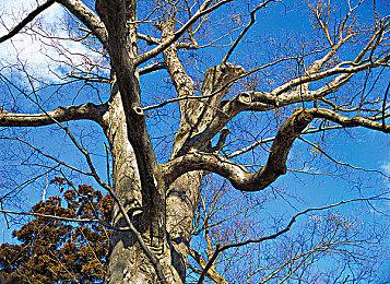 Epic喜加一！免费领取冒险游戏《毛线先生》