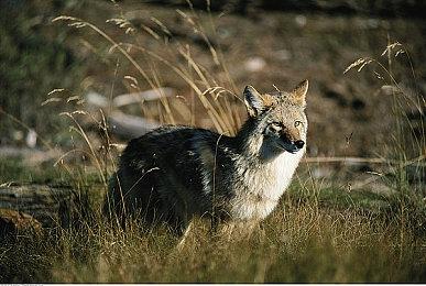 首发52.2元！横版战斗武侠RPG《刀剑江湖路》现已发售Steam